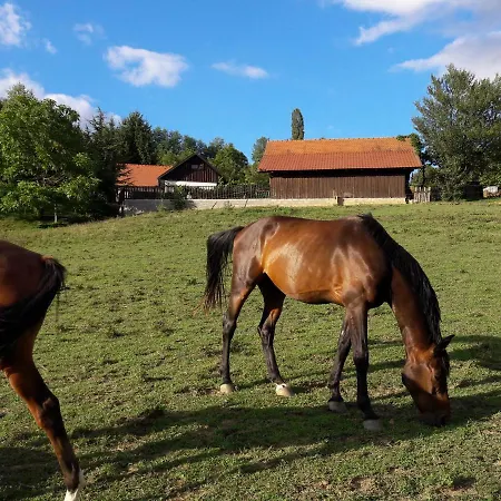 Holiday home Ranch Velka